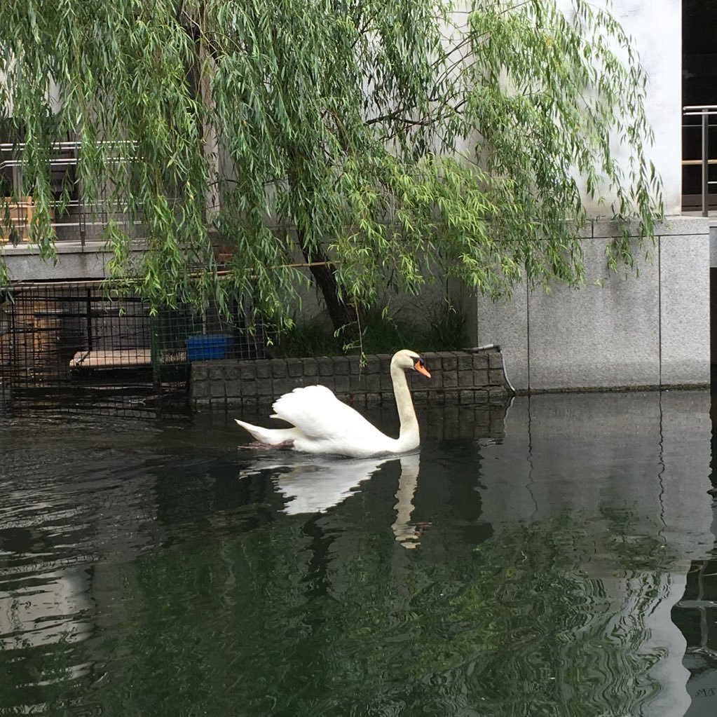 携帯のデータ修復は諦めました（苦笑）ほど良く調子に乗って画像差し替えてみた( ´ ▽ ` )ﾉ素敵酔っぱらい