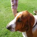 nigel whitehead - @nigel42563 - Twitter