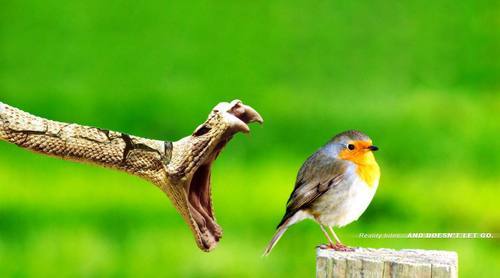 marisupe's profile picture. 