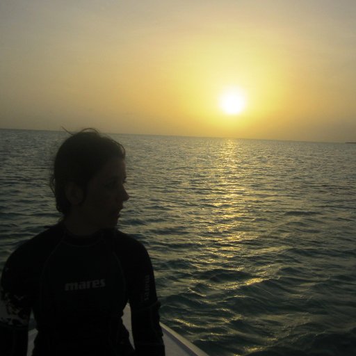 AYranzo's profile picture. 