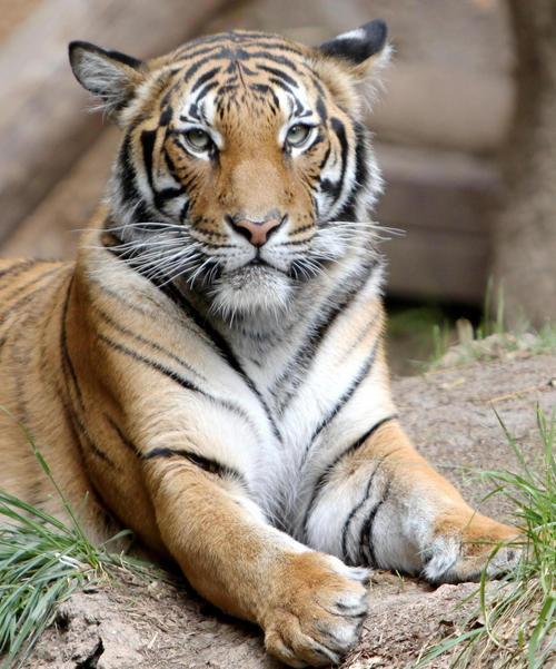 Johnathon247's profile picture. 