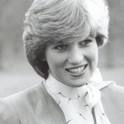 shaistagullkha1's profile picture. 