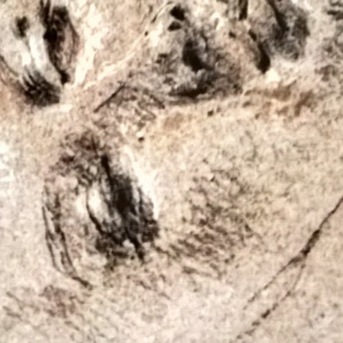 ValerioMontori3's profile picture. Skater.