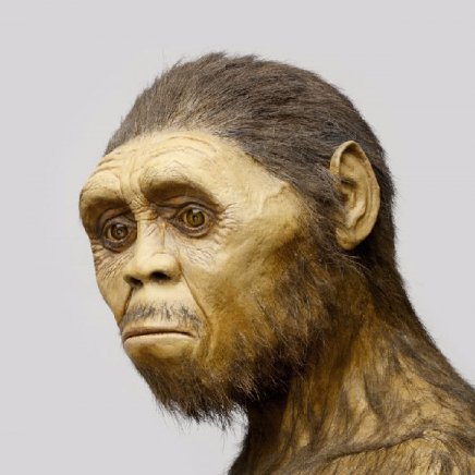 Justqwertyyy's profile picture. 