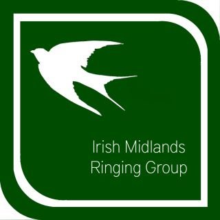 @IMRingingGroup