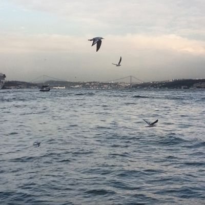 لا يدان المرء بشئ ليس به
ولا خلقت الناس معصومه الزلل