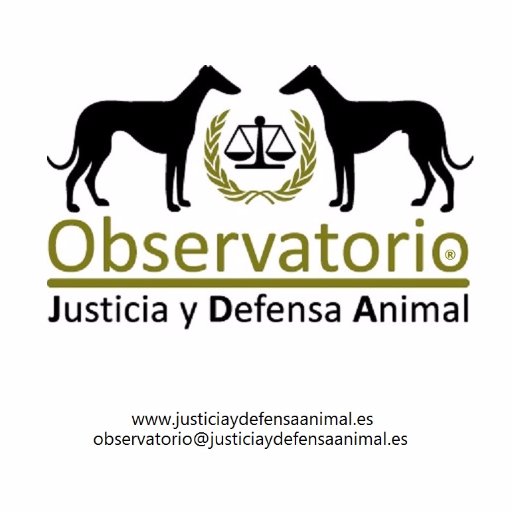 ⚖🏛🎓Defensa de los derechos de los animales▪ En 2015 lanzamos la campaña #AnimalesNOsonCosas, que hoy es Ley
📧 observatoriojda@gmail.com