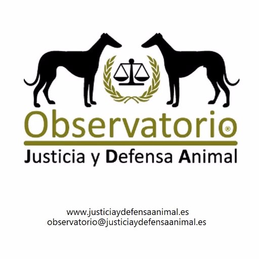 ⚖🏛🎓Defensa legal de los #animales, sus derechos y desarrollo del #DerechoAnimal 🌲🌍 🐺🦊🐷 En 2015 lanzamos la campaña  #AnimalesNOsonCosas que hoy es Ley