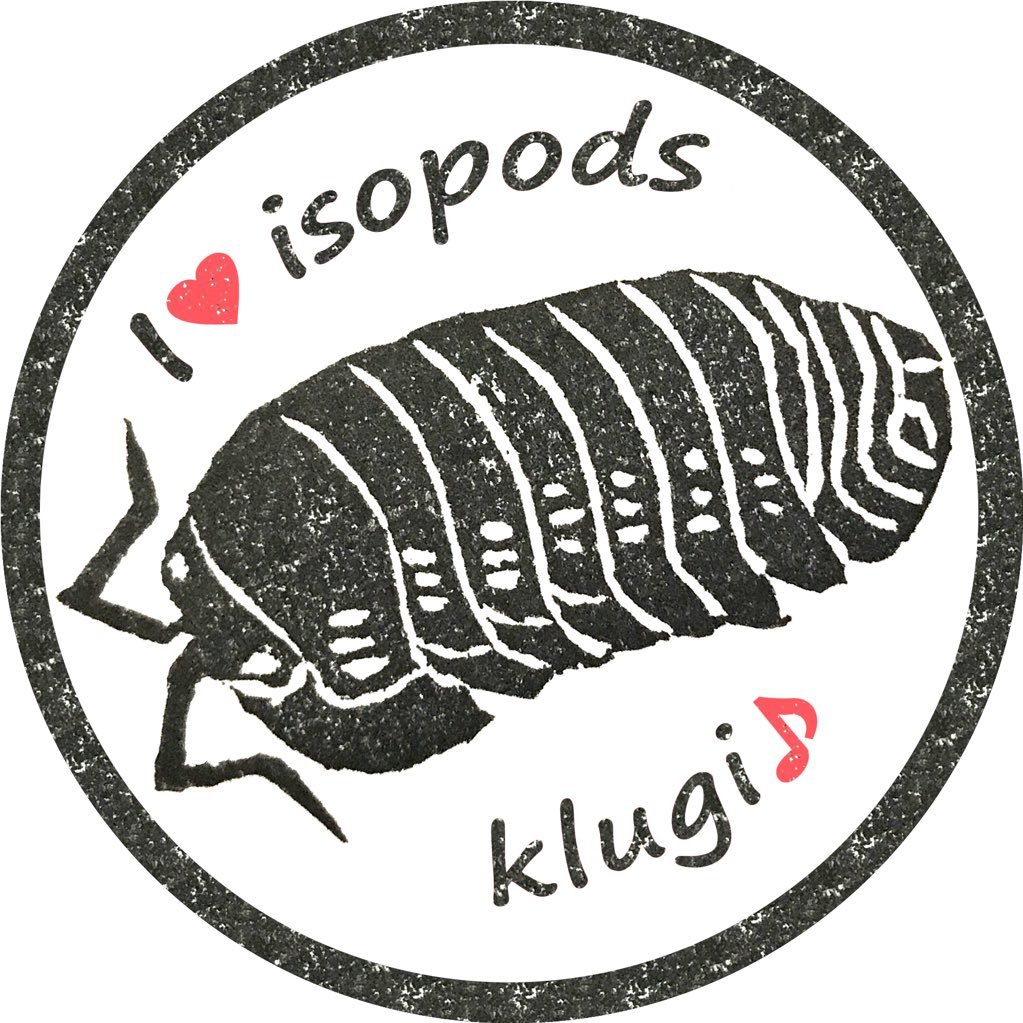 Klugi_Isopods Profile Picture