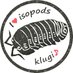 くるぎー♪ (@klugi_isopods) Twitter profile photo くるぎー♪ (@klugi_isopods) Twitter profile photo