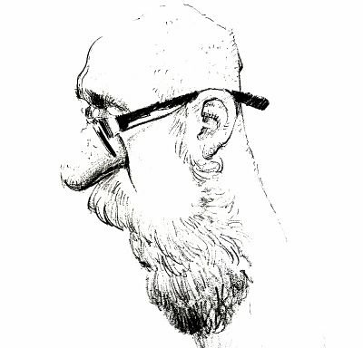 naarwijdachten's profile picture. 