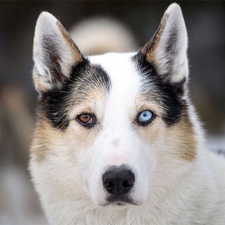 LowellLowell11's profile picture. 