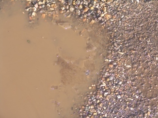 Paul_H_42's profile picture. 