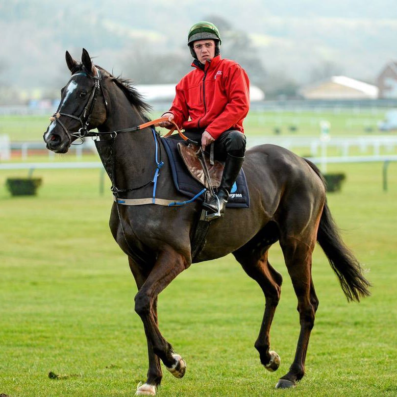 Former Professional Irish Jockey