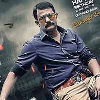 Srinagar Kitty (@srinagar_kitty) 's Twitter Profile