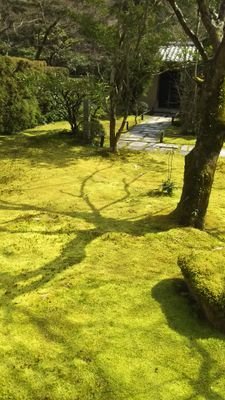 okking8498's profile picture. さぶ垢です。とにかく百合画像見て癒やされてます。