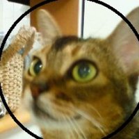 てんこ♪tenko⭐JKS❣️ (@tenko0211) 's Twitter Profile Photo