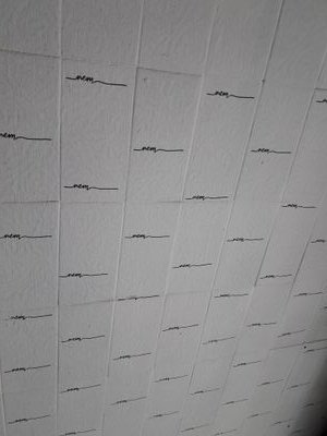 nem_sitges's profile picture. Bebe,Come y Ama!!!