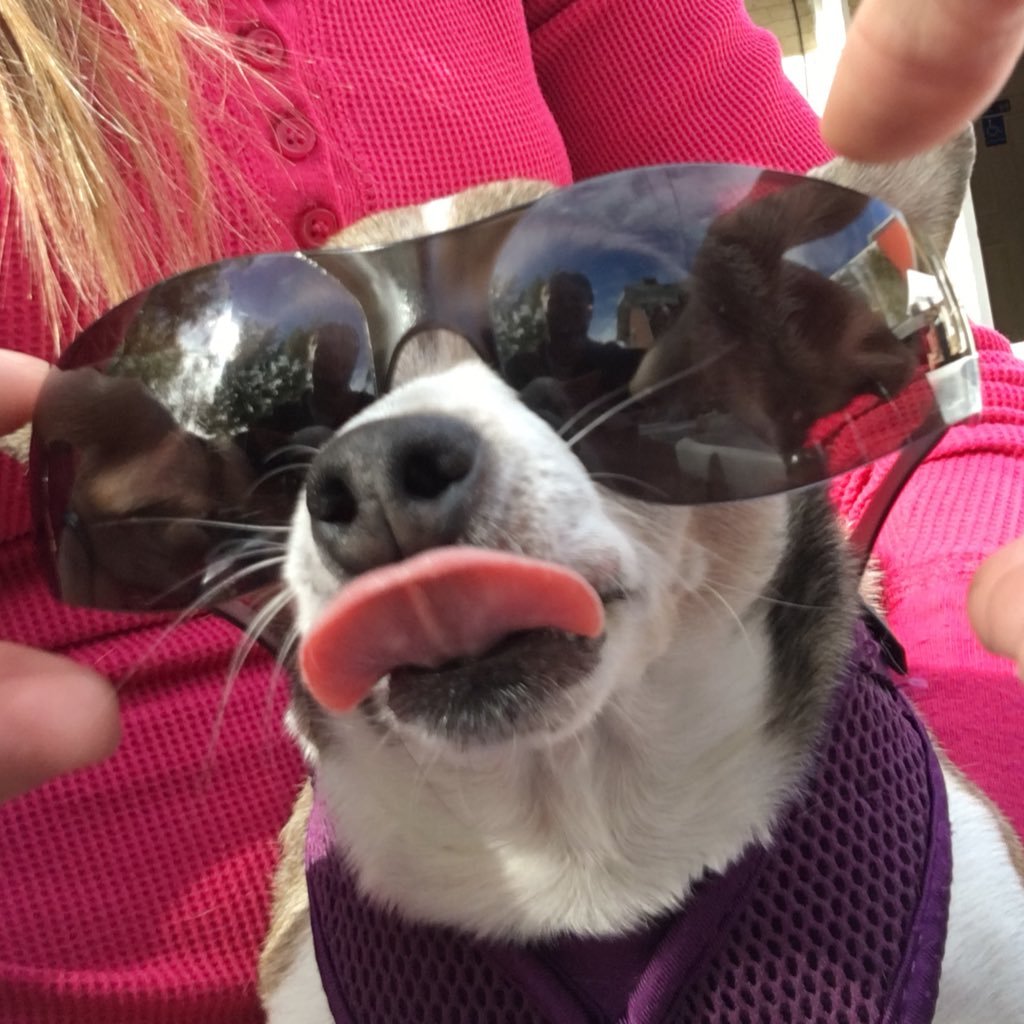 ChrisBird88's profile picture. Environmental Scientist, Husband, Geologist, Eagle Scout, Beer Fan, Hiker, Outdoors-Man, CSU Graduate