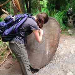 I love rocks, trees, oceans, and gardens. I love playing violin, rock climbing, boating, baking. Episcopal priest. PhD candidate. I also have ME/CFS and POTS.