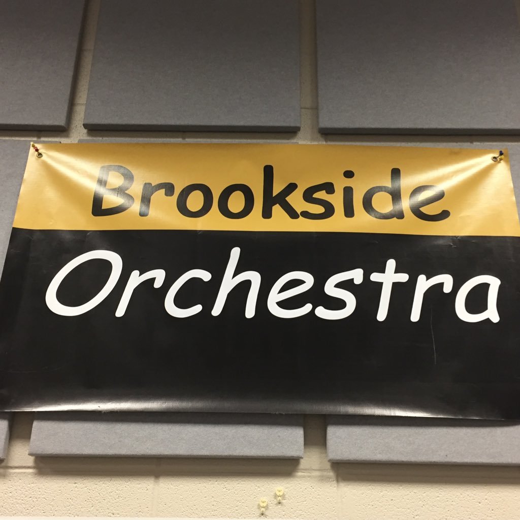 BISorchestra's profile picture. 