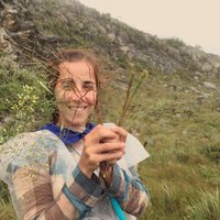 Cássia Bitencourt (@latinbitencourt) 's Twitter Profile