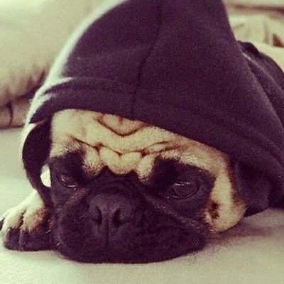 ignYouWill's profile picture. IGN - YouWill