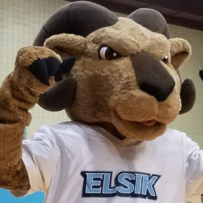 The official Twitter account for Elsik High School in @Aliefisd. Managed by campus administrators. RTs are not endorsements.