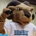 Elsik High School (@ElsikHighSchool) Twitter profile photo