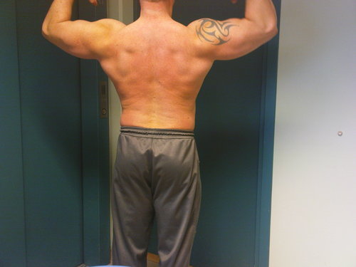 Natural bodybuilding/powerbuilding and fitness.