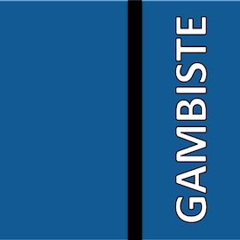 GambisteFinance Profile Picture