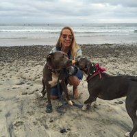 sunde white (@sundewhiteart) 's Twitter Profile