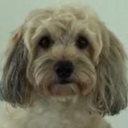 Jack Comer - @Jack_Comer - Twitter