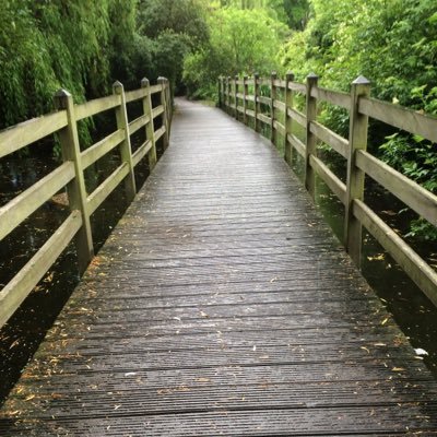 yaseminshn's profile picture. east west
home's best