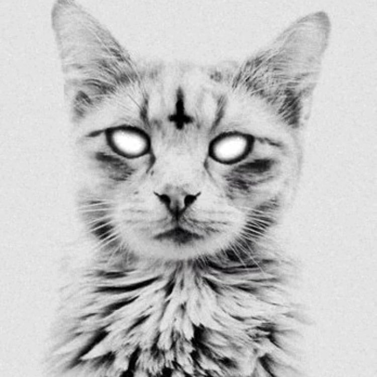 xanpagne's profile picture. banana republic fit, go suck a dick