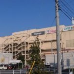 てへぺろ