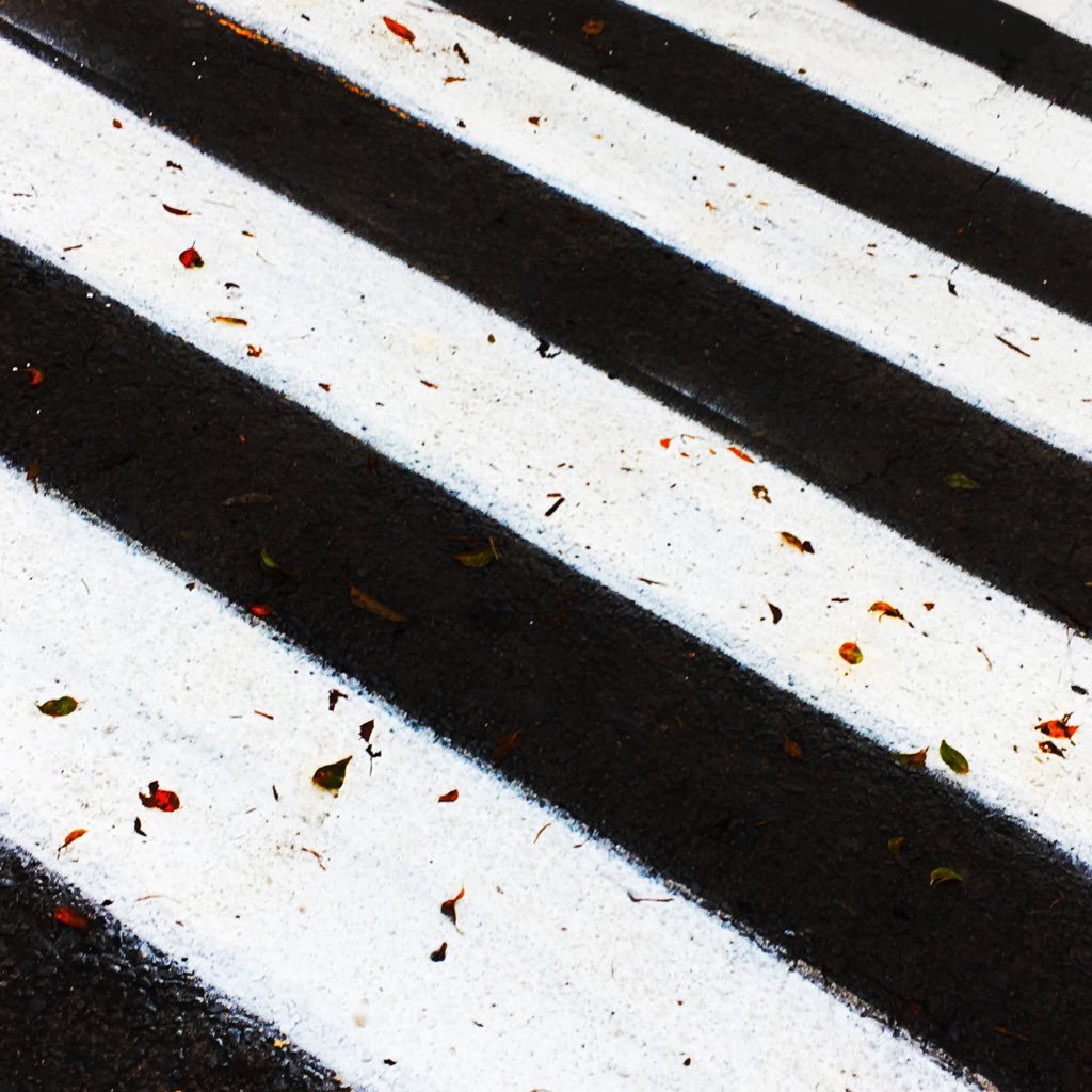 steffmister1942's profile picture. Cars