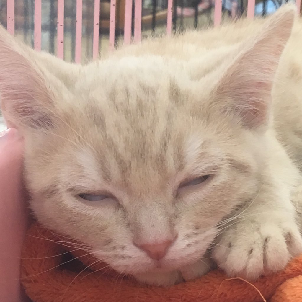 Zlk2Yk's profile picture. 写真垢作ってみました‼︎