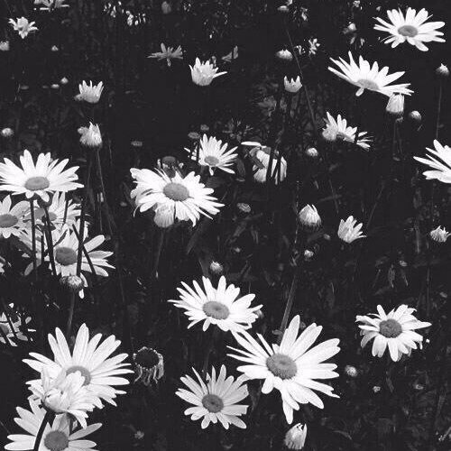 jinko_biloba's profile picture. Human being. Interested in Science. Aiming to help build a better world/code.