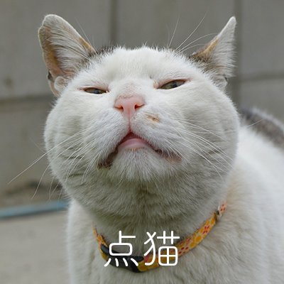 ばん@点猫さんのプロフィール画像
