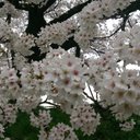 hanke0917 (@0917Hank) Twitter