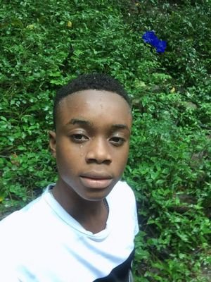dcodincole's profile picture. 