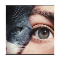 SEL (@selxxz) Twitter profile photo