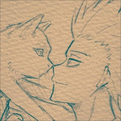 雨りうむさんのプロフィール画像