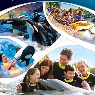 Página Oficial de SeaWorld para Latinoamérica. SeaWorld, Aquatica, Busch Gardens y Discovery Cove ahora están más cerca de ti!