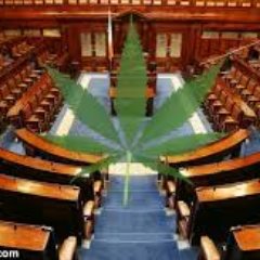 Ireland's Cannabis Party