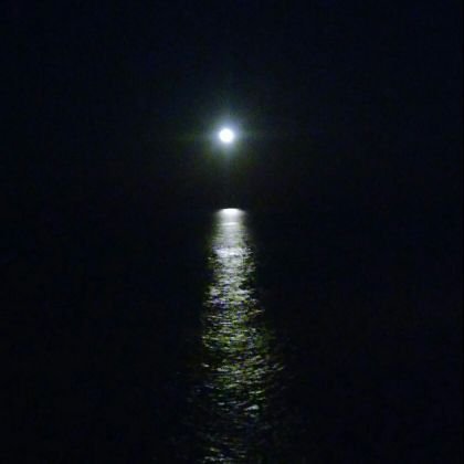 CrystalFencke's profile picture. 