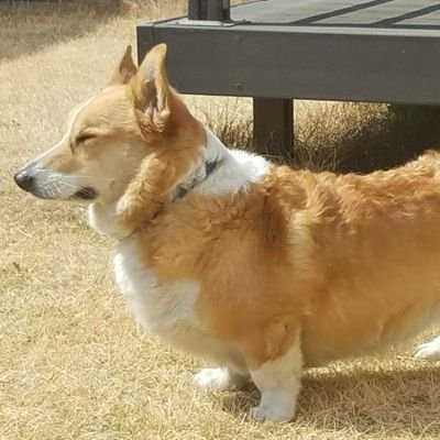 ゆっきーなさんのプロフィール画像
