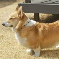 ゆっきーな (@yu__ta1206) 's Twitter Profile Photo