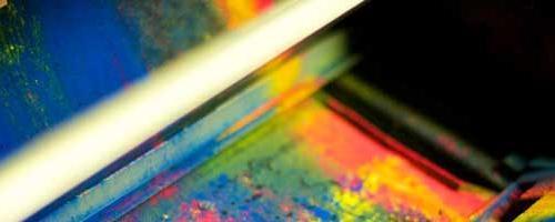 bosfloridaguy's profile picture. 